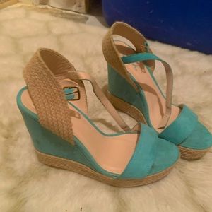 Teal wedges